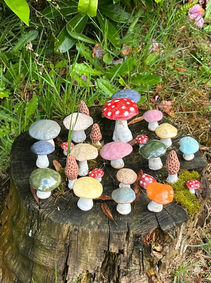 MUNDO FUNGHI 5u.